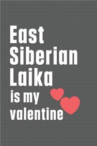 East Siberian Laika is my valentine