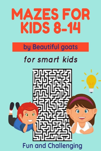mazes for Kids 8-14 Fun and Challenging