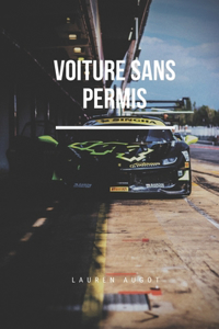 Voiture Sans Permis