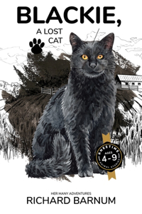 Blackie, A Lost Cat