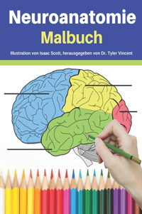 Neuroanatomie Malbuch