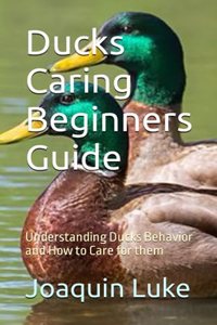Ducks Caring Beginners Guide