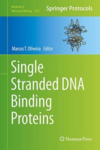 Single Stranded DNA Binding Proteins