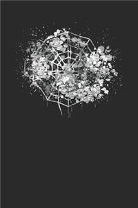 Cobweb