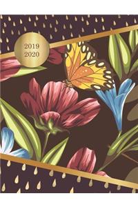 2019 - 2020