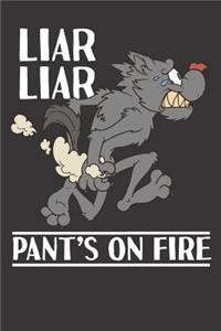 Sarcasm Liar Liar Notebook Journal