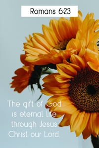 The Gift of God Bulletin (Pkg 100) General Worship