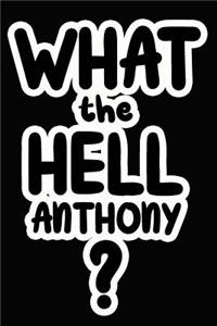 What the Hell Anthony?