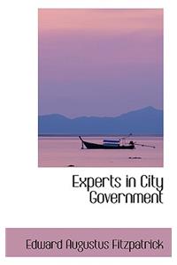 Experts in City Government