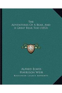 Adventures of a Bear, and a Great Bear Too (1853)