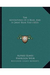 The Adventures Of A Bear, And A Great Bear Too (1853)