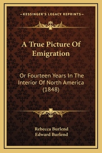 True Picture Of Emigration