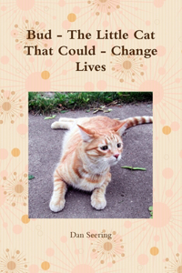 Bud - The Little Cat That Could - Change Lives