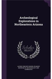 Archeological Explorations in Northeastern Arizona