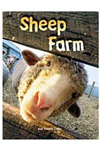 Rigby Focus Forward: Individual Student Edition Sheep Farm