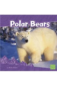 Polar Bears