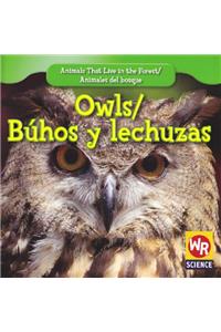 Owls / Búhos Y Lechuzas