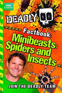 Minibeasts, Spiders and Insects