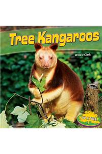 Tree Kangaroos