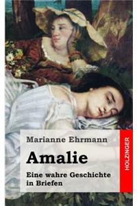 Amalie. Eine wahre Geschichte in Briefen