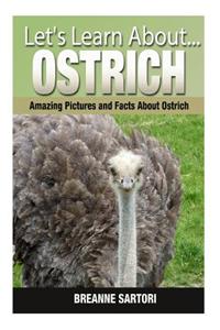Ostrich