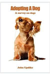 Adopting a Dog