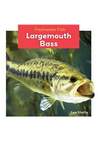 Largemouth Bass
