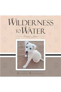 Wilderness to Water