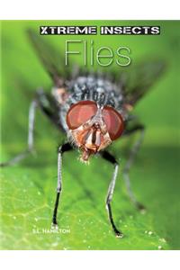 Flies