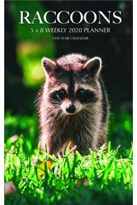 Raccoons 5 x 8 Weekly 2020 Planner