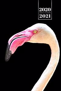 Flamingo Bird Watching Week Planner Weekly Organizer Calendar 2020 / 2021 - Long Neck