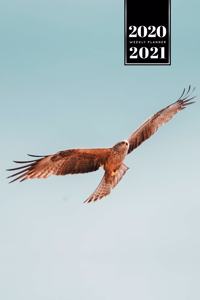 Falcon Hawk Bird Watching Ornithology Week Planner Weekly Organizer Calendar 2020 / 2021 - Spreads Wings