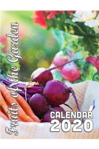 Fruits of the Garden 2020 Calendar: 14-Month Desk Calendar Showing the Bounty of our Beautiful Country