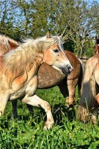 Horse Notebook