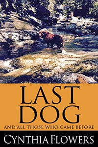 Last Dog