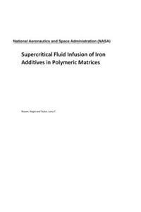Supercritical Fluid Infusion of Iron Additives in Polymeric Matrices