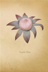 Earth Star