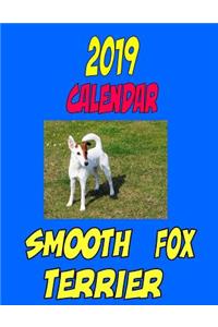 2019 Calendar Smooth Fox Terrier