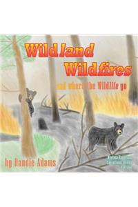 Wildland Wildfires