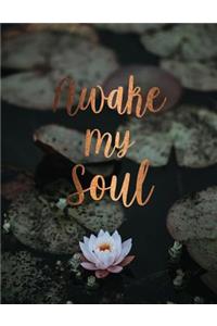 Awake my soul