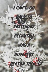 I Can't Go Back to Yesterday Because I Was a Different Person Then.