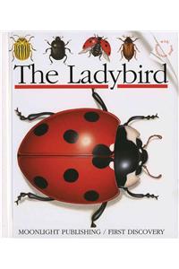 Ladybird