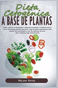 Dieta Cetogénica a Base de Plantas