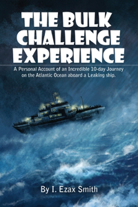 Bulk Challenge Experience