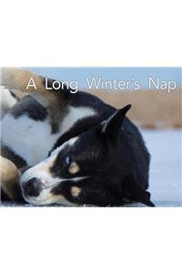 A Long Winter's Nap