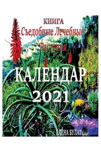 Книга. Календар 2021