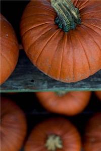 Pumpkins on a Shelf Journal