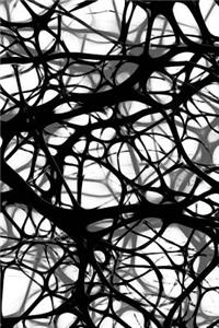Neurons Notebook
