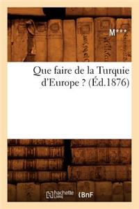 Que Faire de la Turquie d'Europe ? (Éd.1876)