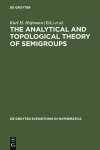 Analytical and Topological Theory of Semigroups